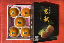 サクサク食感+上品な甘さの柿　【ギフト用】太秋柿2kg５～６玉