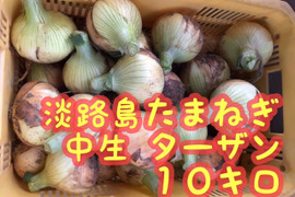 淡路島たまねぎ　【10キロ】　玉ねぎ　中生：ターザン