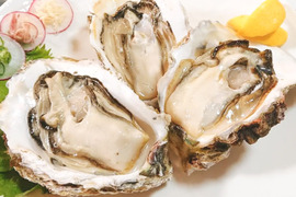 【最旬】超特大！クリーミーが止まらない岩牡蠣(3kg入) 島根町野井産