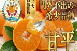 【愛媛門外不出の幻柑橘】三大高級柑橘『甘平』香り控えめで甘み爆発☆噛むたびシャキッと甘い！探しても見つからないみかん🍊お試しキャンペーン約1㎏【3月下旬予約】