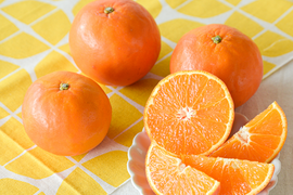 濃厚果汁がたっぷり！　セミノール【贈答用(特選品)】[5kg]　319-1