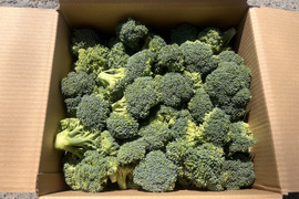 洗って茹でるだけ！特別栽培ブロッコリー