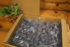 除草剤不使用、特別栽培認証の冷凍ブルーベリー１キロ（2Lサイズ以上）