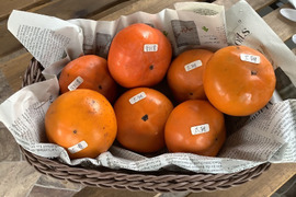 【希少3品種　柿食べ比べセット秀1.3㎏】愛秋豊・太雅・太豊(栽培期間中　農薬不使用)