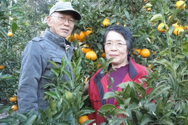 【🍊青島温州 格外品 5kg 】家庭用です。外観の良く無いみかんです。その分お買い得です。