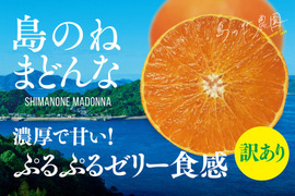 残りわずか数量限定セール！【訳あり】島のねまどんな【愛媛みかん/木成り完熟/サイズ混合/2kg】2,240円→980円