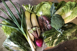 年末感謝セールふれあい農園野菜セット【幸せ6品以上】