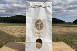 【令和7年新米】環境保全米ゆうだい21 玄米24kg