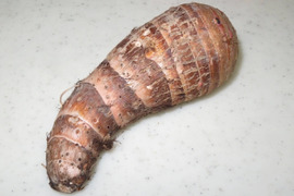 【栽培期間中　農薬不使用】煮崩れしにくく、味しみ抜群。煮物にぴったりの里芋「海老芋（えびいも）」(500g)
