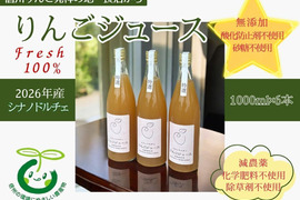無添加！信州りんご発祥の地 長沼産 シナノドルチェ 100% 生産農家直送 りんごジュース ６本 長野県 化学肥料不使用 除草剤不使用 人にやさしく環境にもやさしい農産物 720ml×6本