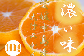 濃厚完熟　大津みかん　ご家庭用・10ｋｇ