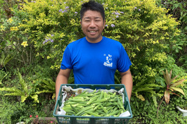 野菜生活応援キャンペーン✨
石垣島産オクラ（約1.7kg）バラエティーオクラ&訳ありオクラの組み合わせ❣️