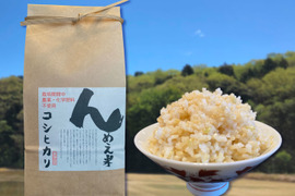 【農薬・化学肥料不使用】令和5年産『んめえ米 - コシヒカリ』玄米 5kg