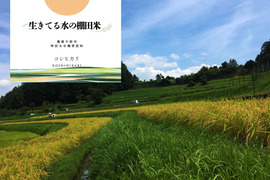 ◆生きてる水の棚田米◆農薬・化学肥料不使用・生きてる湧き水で育ったお米　玄米4kg