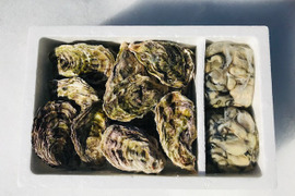 奥能登! 里海の雫 穴水名産 旨味が詰まった美味しい真牡蠣(加熱用) MIX 中 むき身800g(400g×2) 殻付き2.5kg(16個前後)