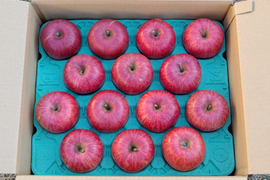 信州産葉とらずサンふじプレミアム5kg11〜18個入り　ご贈答用にもおすすめ