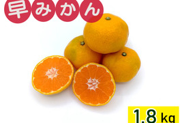 【お試しに】秋が旬！『早みかん』【1.8kg】