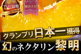 🏆桃グランプリ総合大賞受賞🏆市場に0.01％しか流通していない超希少桃『ネクタリン黎明』大容量2キロ【朝どれ】