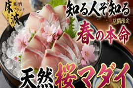 【全国の食通必見】グルメ通のために吟味された旬のご褒美『天然国産桜マダイ』長州床波ブランドお試しキャンペーンお刺身約350g【3月中下旬予約】