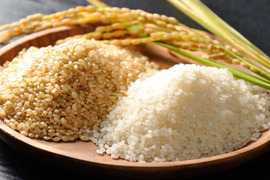 日本農業賞大賞米 噛めば噛むほど旨味がでてくる茨城県産コシヒカリ 玄米【10kg】