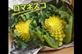 畑より直送！ロマネスコ/大きめ2個