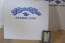 【朝どれ】 ブルーベリー ５００ｇ長野県産シーズン初物、7日間限定品