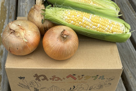 【収穫まであと少し！】淡路島産トウモロコシと完熟玉ねぎキラ玉のセット！