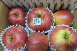 信州りんご🍎少量約1キロ(6個)