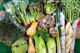 お楽しみ★農園自慢の情熱野菜セット　18袋　発送タイミングおまかせ　フードロス対策　パチャママ農園