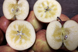 先行予約🍎【食べチョク限定価格】🍎3キロ 幸せの完熟葉取らずふじ 9~12玉　家庭用 青森りんご リンゴ