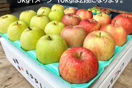 おすすめ👍農薬50％減 訳ありご家庭用 サンふじ・王林セット たっぷり10kg【特別栽培認証取得】🍎🍏りんご食べ比べ 青森 人気 定番セット