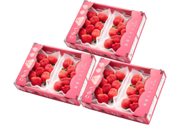【予約販売 2026年11月下旬～順次発送】🍓あまおう苺 サイズ色々❤️270ｇ×6パック！