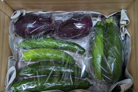 【栽培期間中　農薬不使用！】きよさんが旬のお野菜をセレクト！季節の野菜セット大 (80サイズに入るだけ　5種類程度）