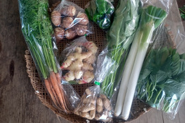 生落花生入り：旬の野菜セット８品目