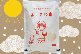 【受注後精米！】特別栽培米　新潟県産コシヒカリ　よこさわ米　精米5kg