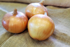 【お得おまけ付！】とろ甘～特大！玉ねぎ(4～5kg)《化学肥料・農薬不使用》