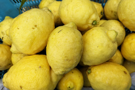 広島県産！「訳あり」木なり夏レモン(約18〜20個、ゆうパック80サイズ)