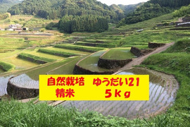 【令和7年新米】自然栽培「ゆうだい２１」精米　５ｋｇ