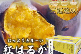 【紅はるか】上品な甘さにしっとりした食感が美味しい深作農園のさつまいも（うすく土付き）【2Lサイズ】【5kg】