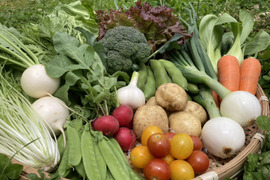 新鮮！旬の野菜セット【Mサイズ：約4〜4.5kg】【12品目】農薬・化学肥料不使用