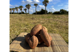 種子島産 安納芋 Lサイズ 2kg｜甘くて濃厚🍠｜aimo農園直送