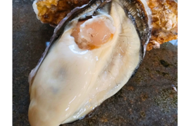 【春牡蠣】バージンオイスター50個 三陸宮城女川産 殻付き 生牡蠣 生食用 フレッシュで希少なカキ ギフト のし対応可