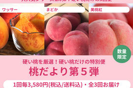 【売り切れ】【限定200セット】3種の桃だより第5弾（食べチョク公式）