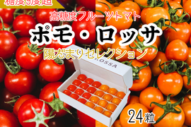 母の日ギフト｜ポモ・ロッサ　陽だまりセレクション｜赤とオレンジ、2種のフルーツトマト食べ比べギフト24粒入り