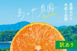 【訳あり】せとか 島のね農園【愛媛せとか/木成り完熟せとか/サイズ混合/5kg】