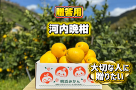 🍊今が旬！！🍊【御贈答用】　7.0㎏　天晴晩柑！（河内晩柑）