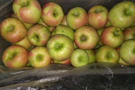 グラニースミス