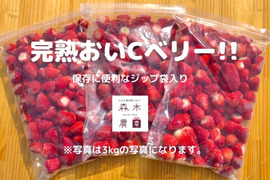 【ビタミンC含有量 No1】冷凍いちご〈おいCベリー〉 3ｋｇ