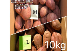 【絶品】種子島産 安納芋 M&L 混合10kg(箱別)