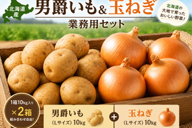 【予約販売・業務用】馬ふん堆肥で育てた 北海道産ほくほく男爵いも＆玉ねぎ20kgセット